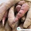有機JAS認証 B品 訳あり さつまいも 追熟完了 紅はるか 青森県 10kg