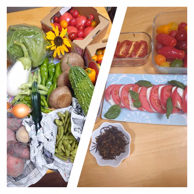 みんなの投稿の画像