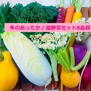 ★オススメ★カラフル野菜農家の【あったか♪温野菜セット８品目】