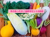 ★オススメ★カラフル野菜農家の【あったか♪温野菜セット８品目】