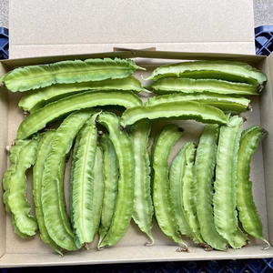 【鹿児島産】甘塩シカクマメ箱込み200g^_^