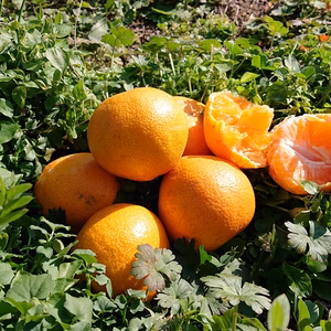 第２弾!キュンと残る味わいをお楽しみください。