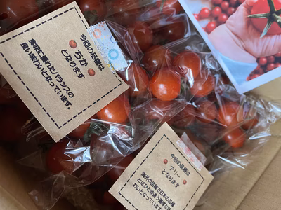 みんなの投稿の画像