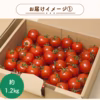 旨味とコクを凝縮！三重県産 真っ赤な完熟ミニトマト『TY千果』(約1.2㎏)