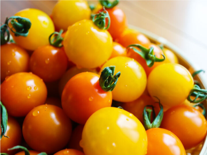 Gw限定 自然な甘さ イエロートマトシスターズ 800g 農家漁師から産地直送の通販 ポケットマルシェ