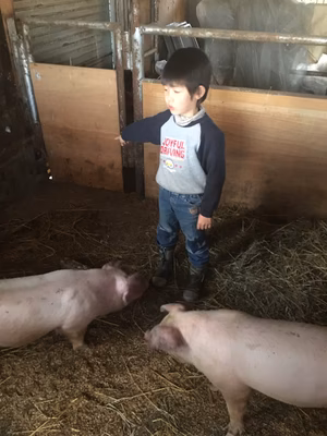 みんなの投稿の画像