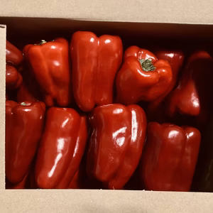 完熟赤ピーマン！