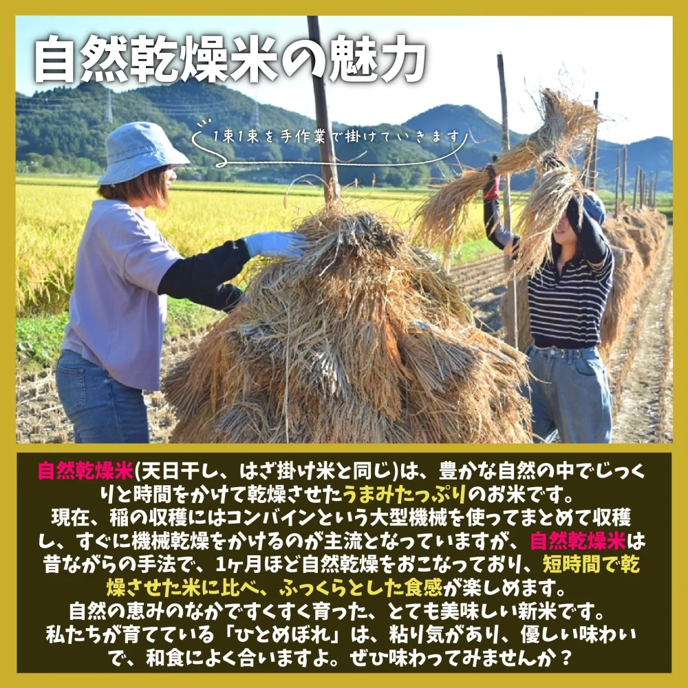 【新米】宮城県白石市産ひとめぼれ 自然乾燥米　10kg