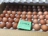 しあわせ卵かけご飯 ちぃたま30個 平飼い卵（本州四国九州お届け限定）