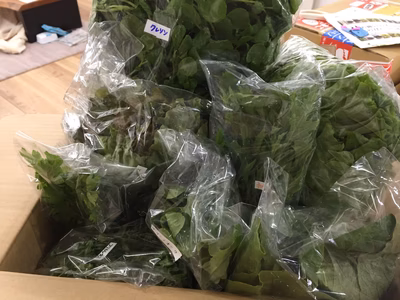 みんなの投稿の画像