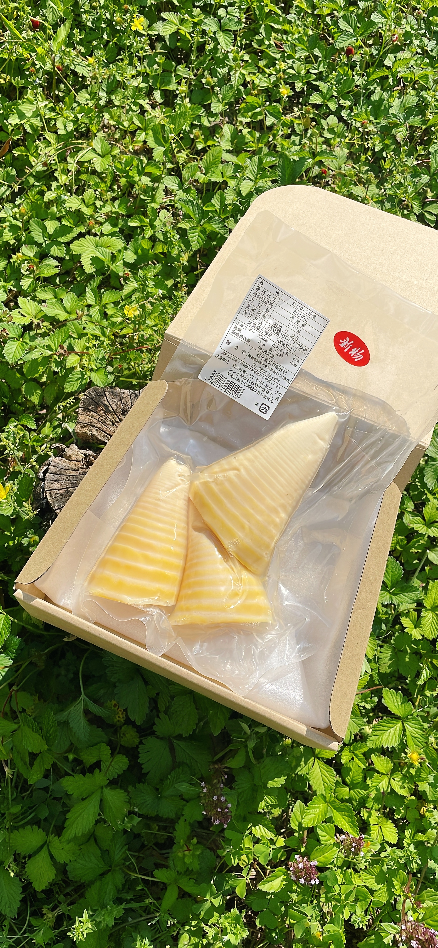 柚子の産直通販・お取り寄せ商品｜ポケットマルシェ｜産地直送で旬の