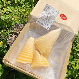 朝堀り新たけのこ水煮 セット　200g×３パック