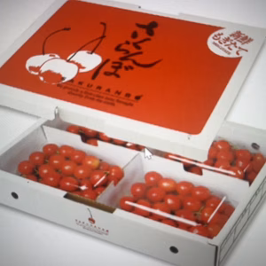 さくらんぼ【２種セット】 ６００ｇ（１５０ｇ×４）