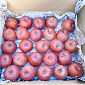 信州安曇野産　サンふじ　【小玉】