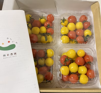 みんなの投稿の画像