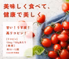 ミニトマト シュガープラム 4kg 糖度10度以上高リコピン(300005)