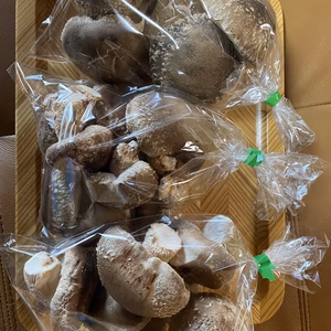 肉厚！原木生しいたけ