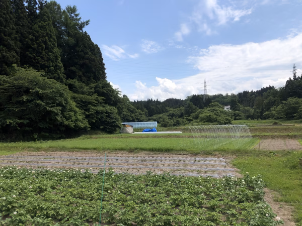 すだ畑