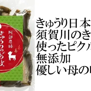 【きゅうりの漬物ピクルス】日本一の須賀川のきゅうり漬けをピクルスに