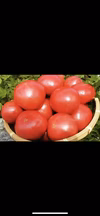 これが王道のトマト！桃太郎トマト