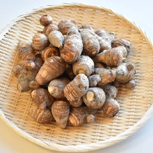 和らぎ農法　里芋　土垂便（約5kg）