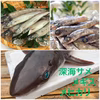 深海サメと人気の深海魚（メヒカリ・メギス）セット
