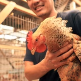 熊野憲之 | 有限会社熊野養鶏