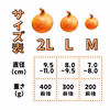 完売間近!!【祝!3年連続金賞】淡路島玉ねぎ10kg