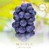 BK-2 花笑み農園　岡山の『BKシードレス』2kg（3~6房） 9月中旬～　