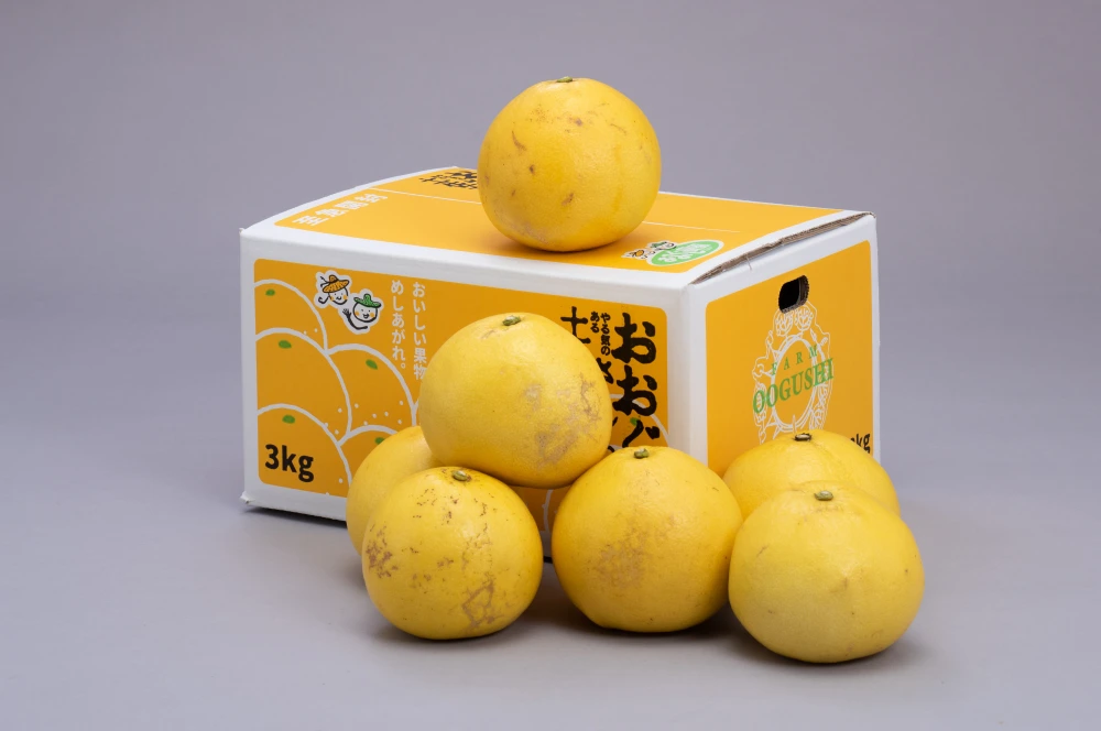 家庭用土佐文旦【3kg】