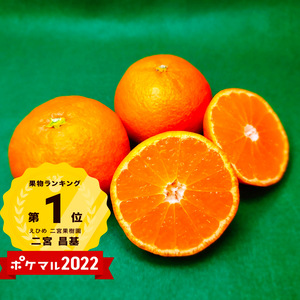 小粒味濃いみかん小粒（数量限定）　10月予約