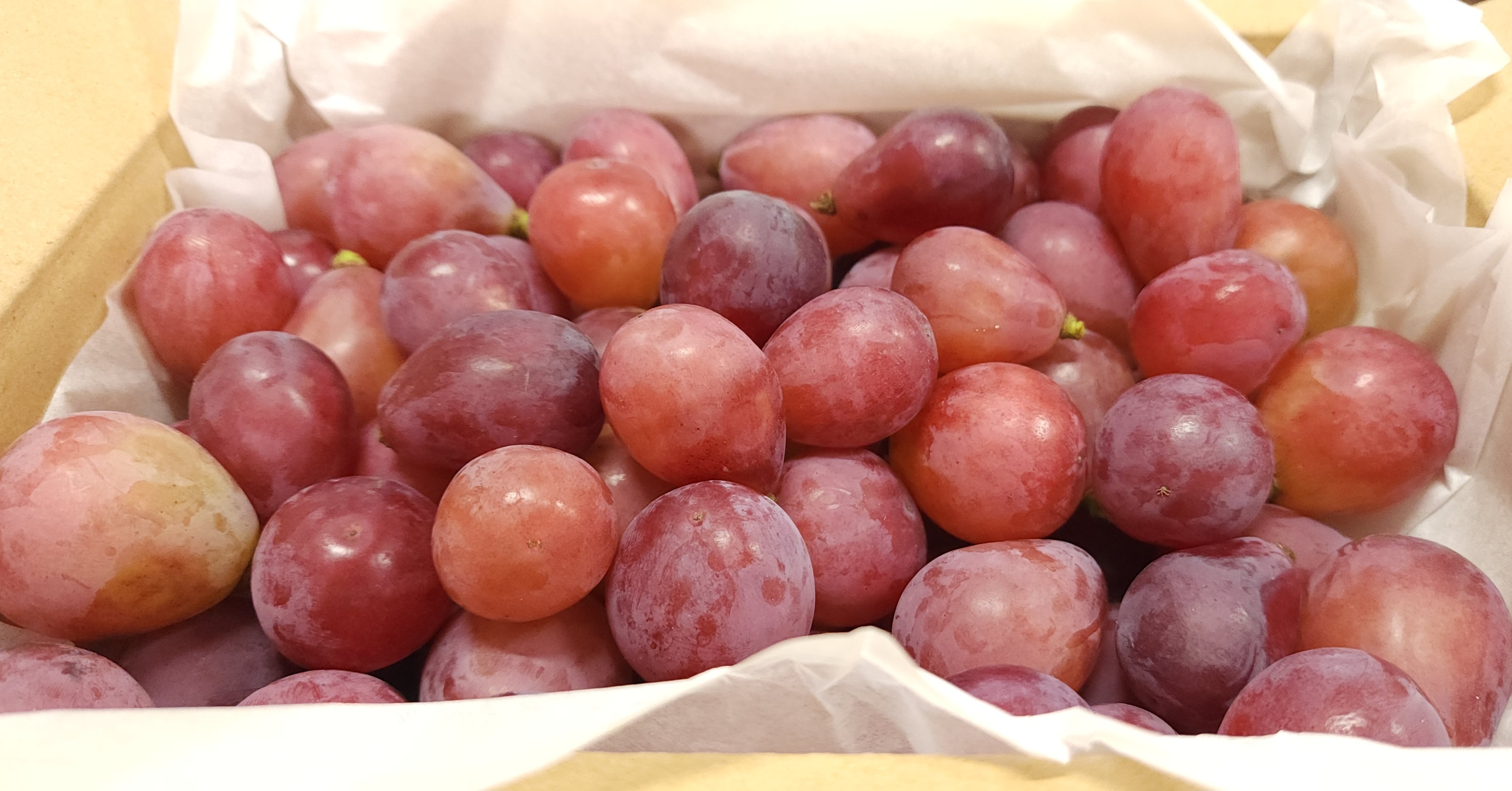 [訳あり]大粒だけどやや白い ✩ 信州産 クィーンニーナ✩パックレス2Kg 詰め 2キロ