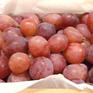 【残り僅か】パックレス２Kg 詰め 【朝採り発送】 クィーンニーナ 訳あり