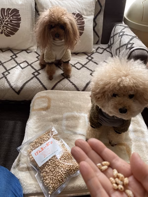 みんなの投稿の画像