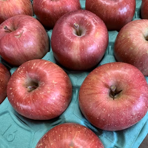 規格外品（ツルワレ）『完熟サンふじ』