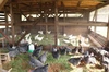 【HAPPY青たまご!!】淡路島でのびのび育った健康鶏のMIXたまご