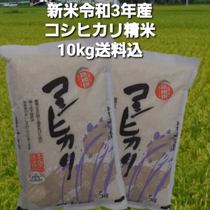 コシヒカリ10kg精米　5kg×2