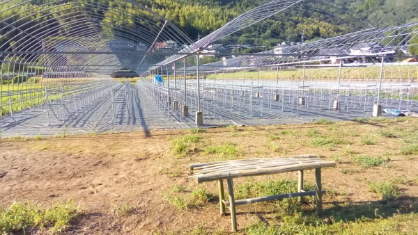 株式会社花祭果実
