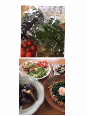 みんなの投稿の画像