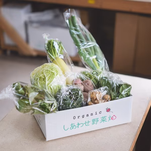 有機JAS認証　有機野菜　定期便　オーガニック 野菜セット