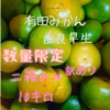 有田みかん　みかん　由良早生　10キロ　訳あり　中身は美味