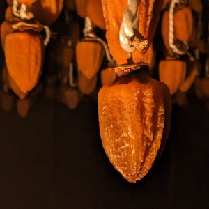 長期自然乾燥干し柿 【八十八夜の蜂屋柿】個包装パック10個より　※化粧箱無し