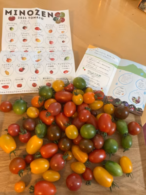 みんなの投稿の画像