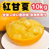 《超お得》10kg★500円『紅甘夏 』初夏の味★ 収穫数限定！訳あり みかん