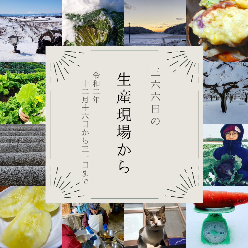 背守り石《限定》 （切実、お願いします！壁の穴 直して欲しい