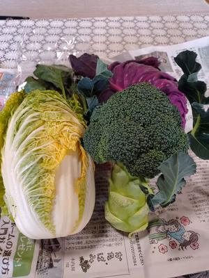 みんなの投稿の画像