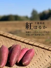 【㊙️蔵出し超熟成❗️】 千葉県産　紅はるか　B品