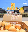 初出品記念✨淡路島ミニ玉ねぎミックス