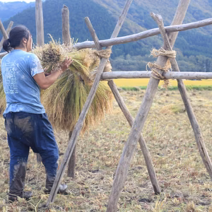 【シルバーウィーク限定】10月9日(日)親子で農業体験 in 岩手