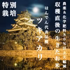 農薬&化学肥料80%以上大幅減 はんでん 代表品種 特別栽培米 ツキアカリ